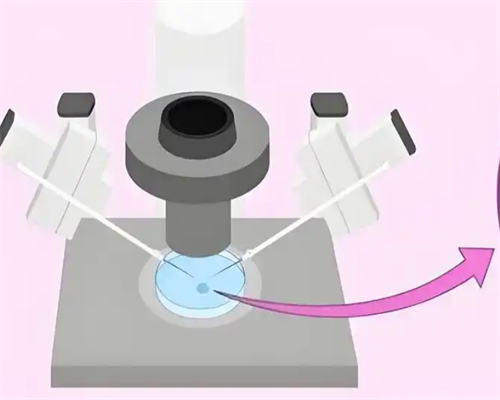 乙肝做试管移植的影响及方案