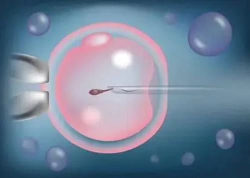 四十岁还能冻卵吗?