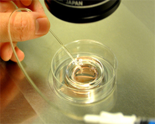 安徽冻卵流程有哪些具体步骤,安徽好的助孕机构有哪些