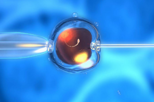 安徽哪里供卵公司比较好的,安徽哪里有可以供卵的医院？2026安徽供卵医院名单