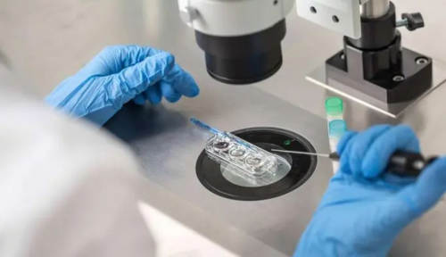 安徽哪里供卵公司最多的地方,安徽附属医院供卵（安徽中医院专家门诊）