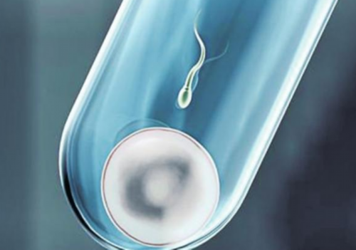 供卵求医网,孕前助孕食物大揭秘