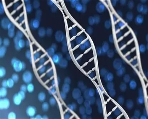 2026安徽生育保险报销标准,参保安徽二档社保能报生育险