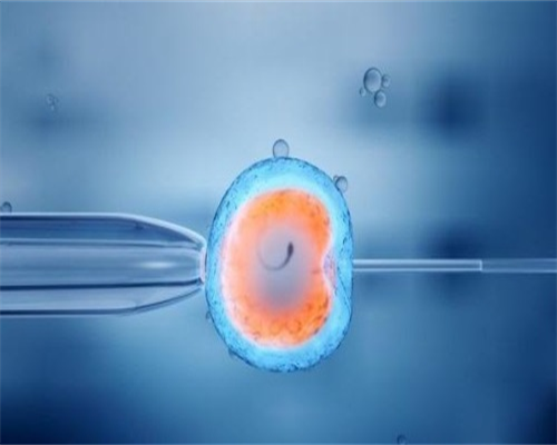 下面出血了还会怀孕吗（孩子刷牙出血）