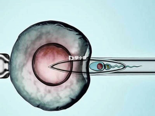 怀孕四个月后 乳房突然不胀了是因为胎儿停了吗？