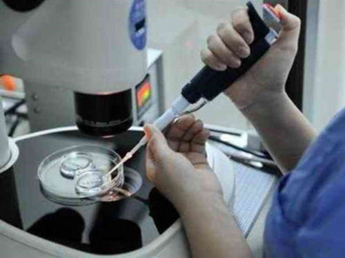 安徽供卵信息在哪里查到,安徽哪里有供卵的徴