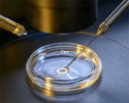 东骏助孕上门洽谈|成都供卵试管等多久（合肥试管成功率高排名）