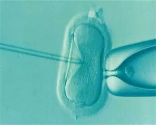 沈阳助孕包性别|杭州供卵试管包出生（杭州有偿捐卵）