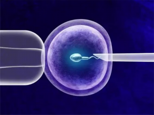 泰国试管婴儿的费用高吗