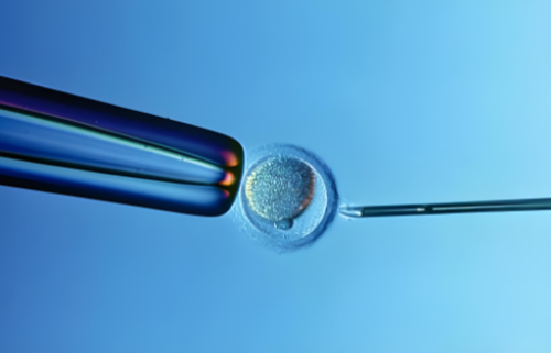 安徽做三次试管婴儿需要多少钱？,安徽亲子鉴定要多少钱？