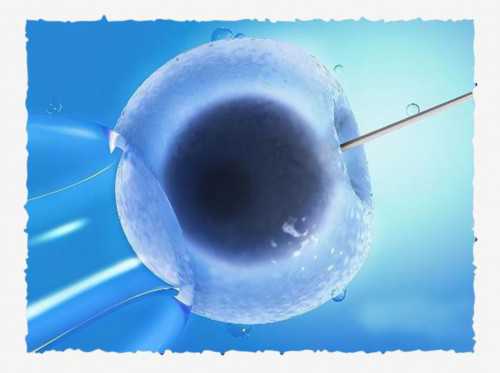 安徽靠谱助孕,安徽正规助孕试管医院有哪些？