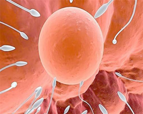 安徽做试管婴儿的费用是多少？,安徽朝阳医院试管费用构成?