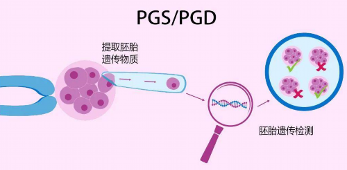 安徽三代试管婴儿医院哪家好附2026合肥三代试管费用明细,三代高端助孕