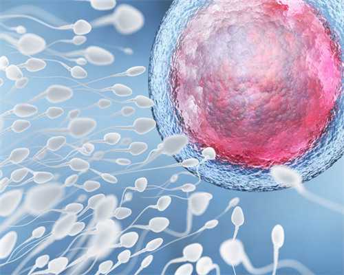 安徽做供卵试管价格表,12026安徽医科大学第一附属医院做试管供卵生男孩费用全