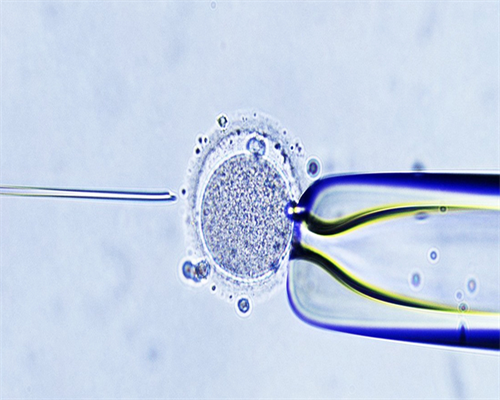 着床晚是什么意思，三代试管着床晚会影响成功几率吗？