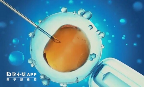 b超下有这些特征才是龙凤胎,龙凤胎b超数据