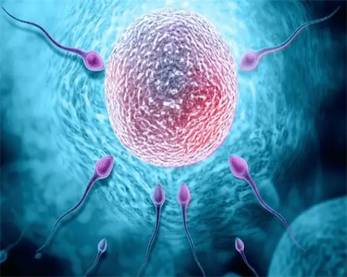 二胎分娩一般多长时间！二胎产期多长时间！,捐卵机构