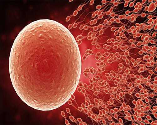 安徽助孕有吗,安徽做人工授精医院,2026助孕省钱攻略