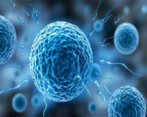 安徽试管婴儿多少钱一次,安徽2026三代试管生男孩费用清单