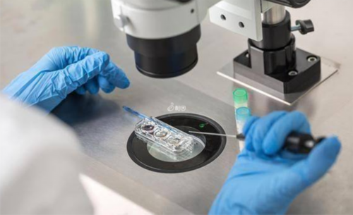 代生试管助孕,都检查完什么才能做试管？都检查完什么才能做试管婴儿？