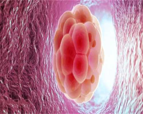 三代试管婴儿能排除哪些遗传病？,试管代生助孕